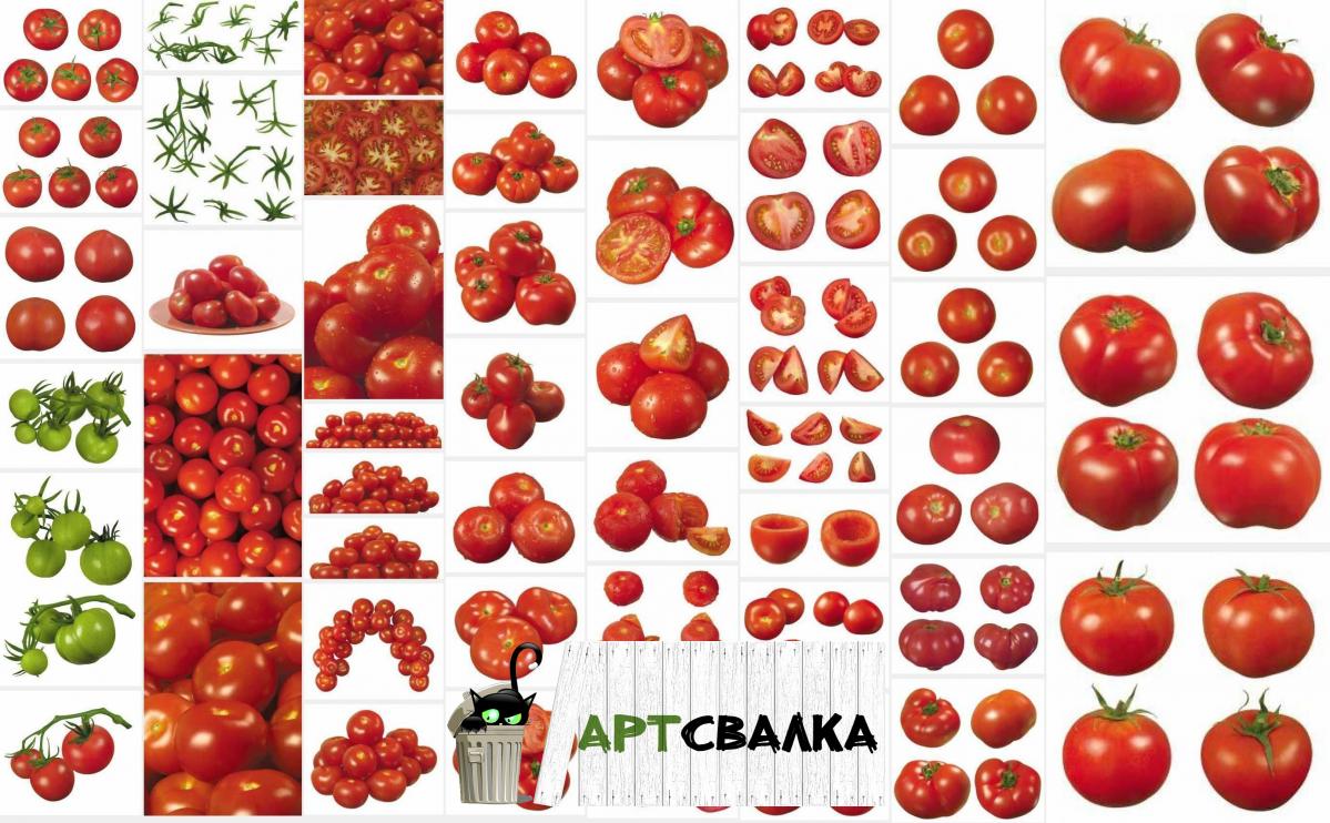 Вкусные сочные помидоры в хорошем качестве | Tasty, juicy tomatoes in good quality